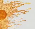 Katarzyna Boni, „Auroville. Miasto z marzeń”