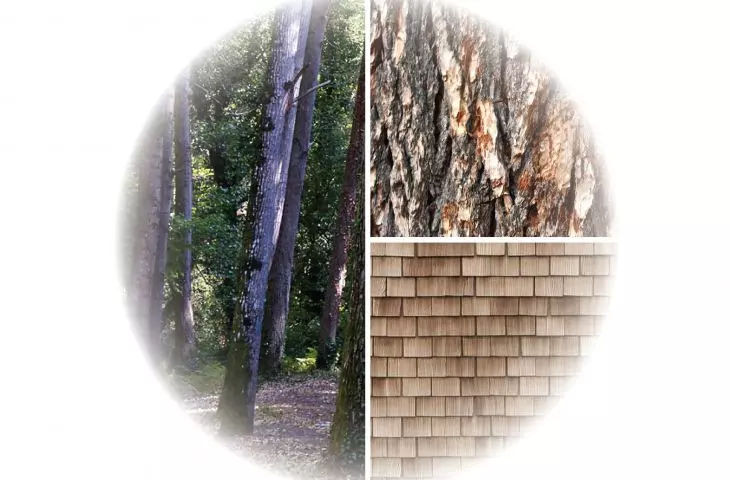 Material inspirations
