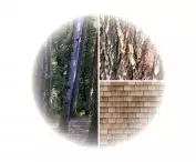 Material inspirations