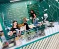 At the Gelato Studio ice cream shop in Siemianowice Slaskie, the color green is king