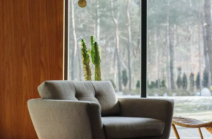 living room overlooking the forest