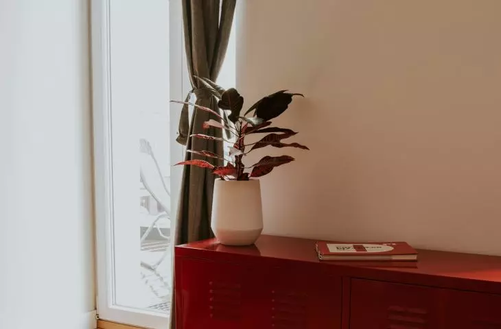 Apartment Noise, red cabinet