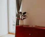 Apartment Noise, red cabinet