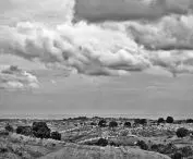 houses of displaced persons
