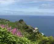 Viewpoint in Nordeste
