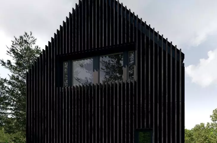 Shou sugi ban wood facade 