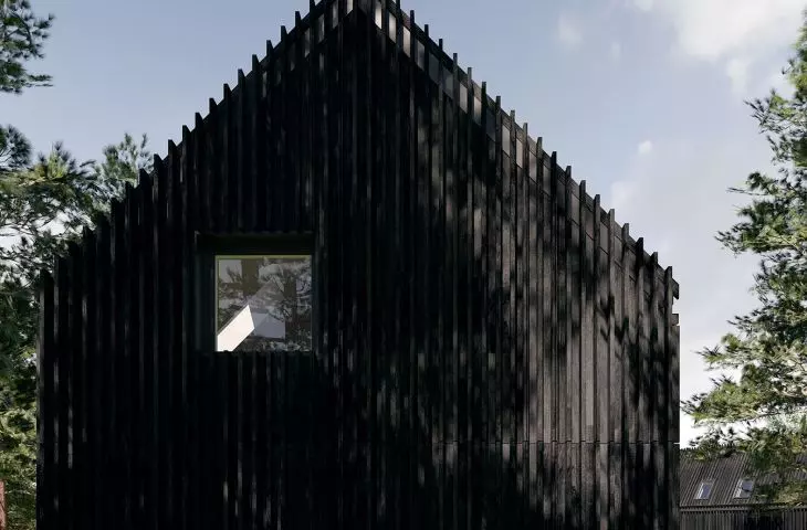 Dark wooden facade