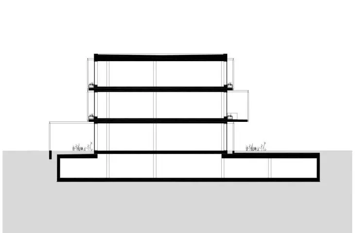 section