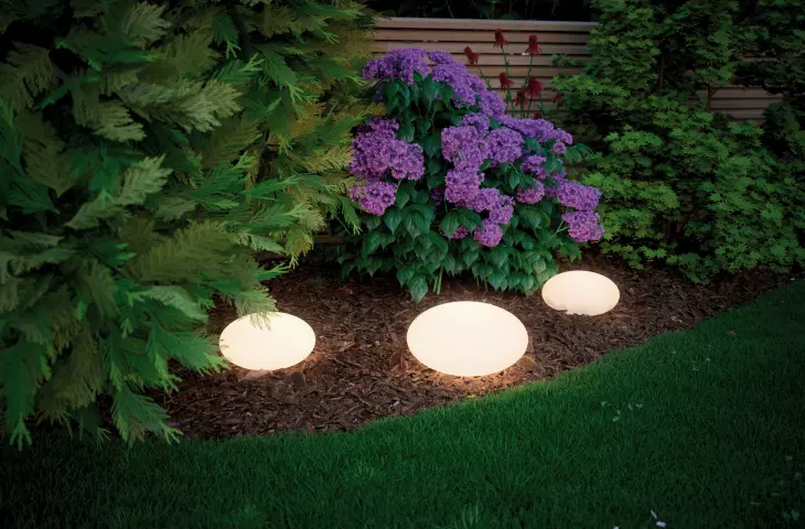 Plug&Shine series