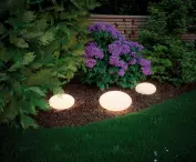 Plug&Shine series