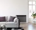 Innovative radiators