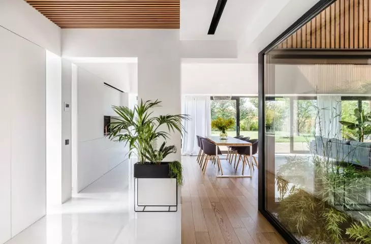 Bright spaces and lots of greenery