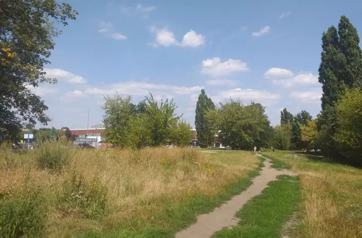 „Ogrody Karskiego” – zaniedbany teren sportowo-rekreacyjny i dzika „łąka miejska”.