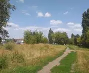 „Ogrody Karskiego” – zaniedbany teren sportowo-rekreacyjny i dzika „łąka miejska”.
