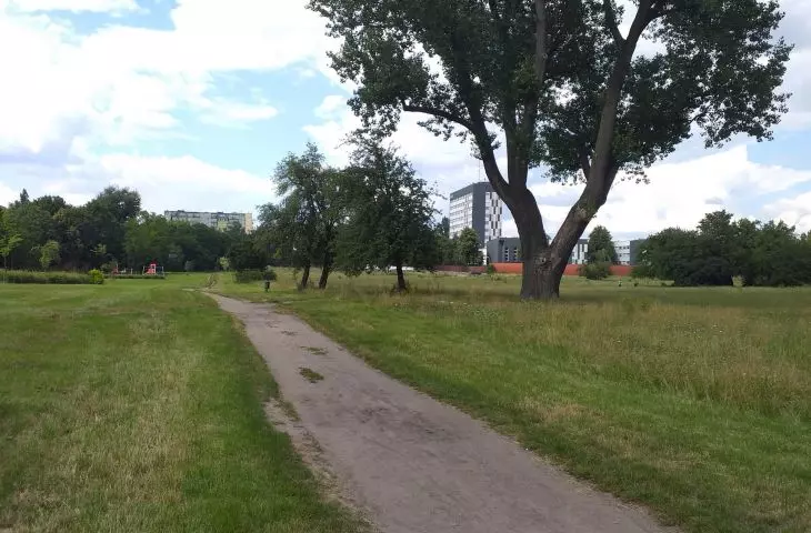 An urban meadow as a work of chance.