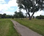 An urban meadow as a work of chance.