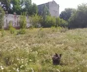 One of the undeveloped plots of land in Old Polesie.