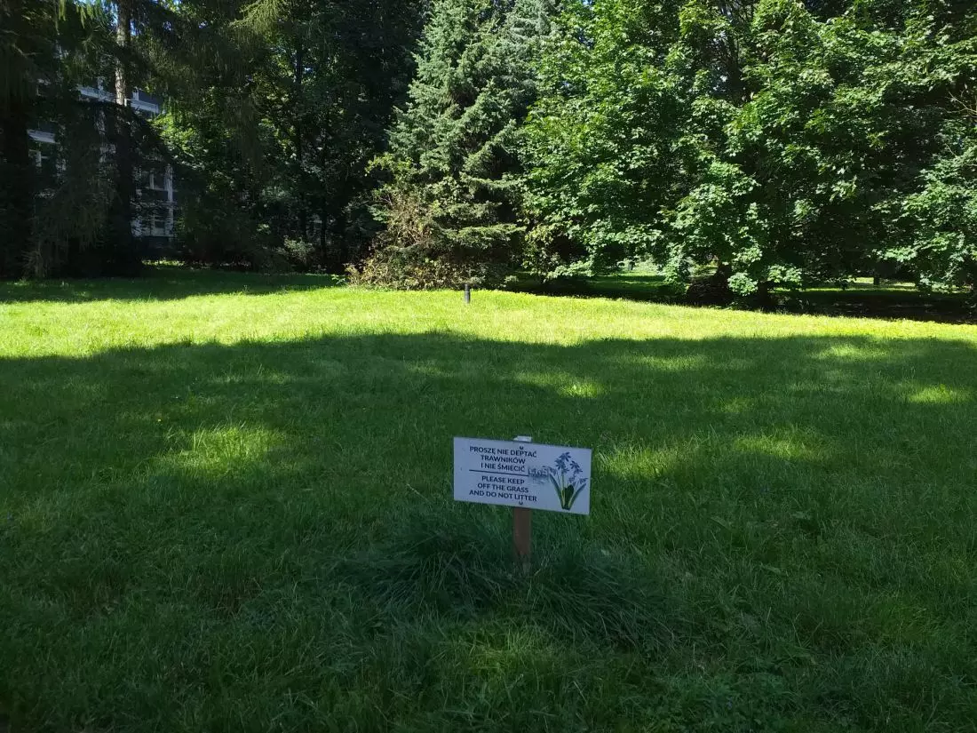 W parku im. B.
Klepacza nadal przestrzega się użytkowników, by nie deptali trawników.