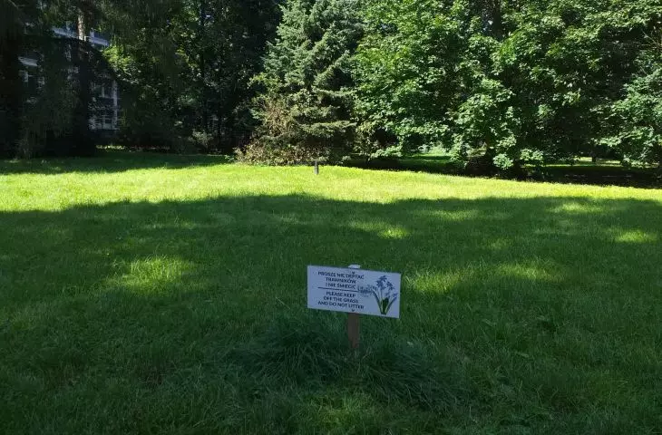 W parku im. B. Klepacza nadal przestrzega się użytkowników, by nie deptali trawników. 