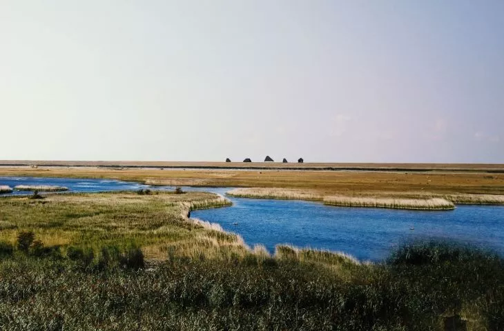 Naturpark Amager