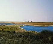 Naturpark Amager