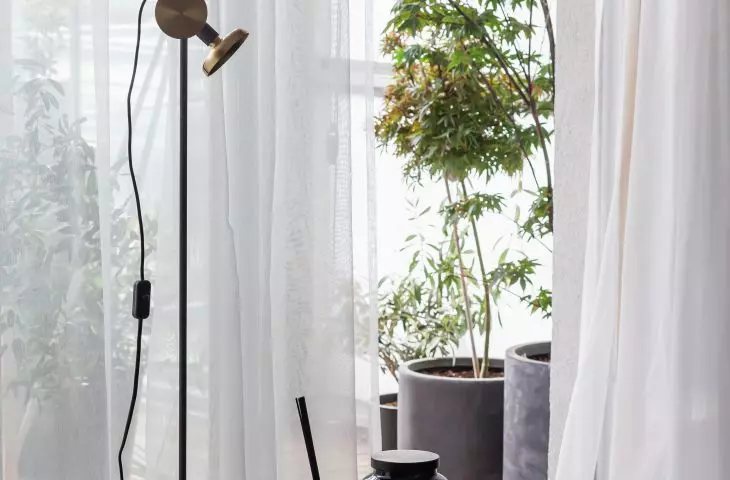 Orangery on the balcony
