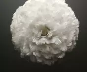Designer lamp