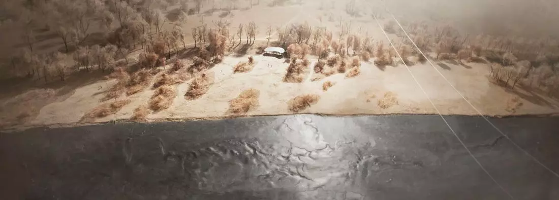 plaża na Kępie
Wieloryb