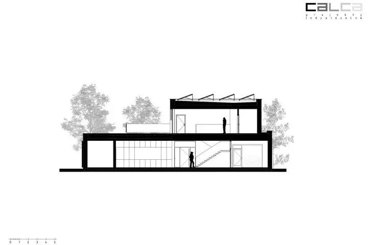 cross-section