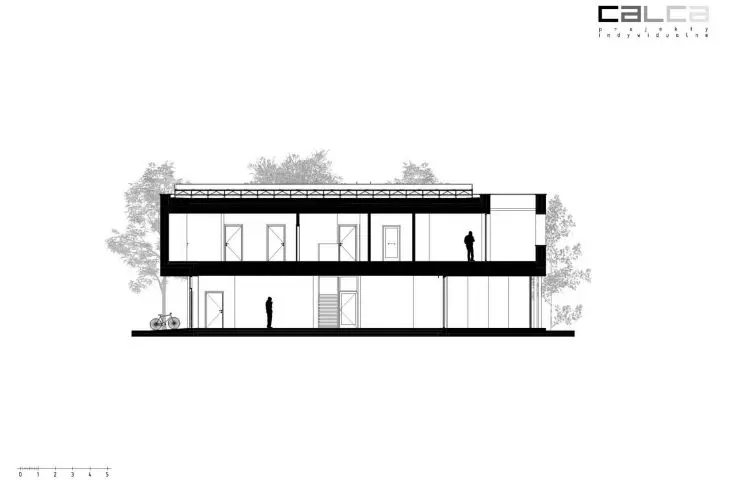 longitudinal section