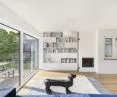 Living room with a dog