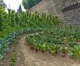 crops are located in its very center along the historic city walls