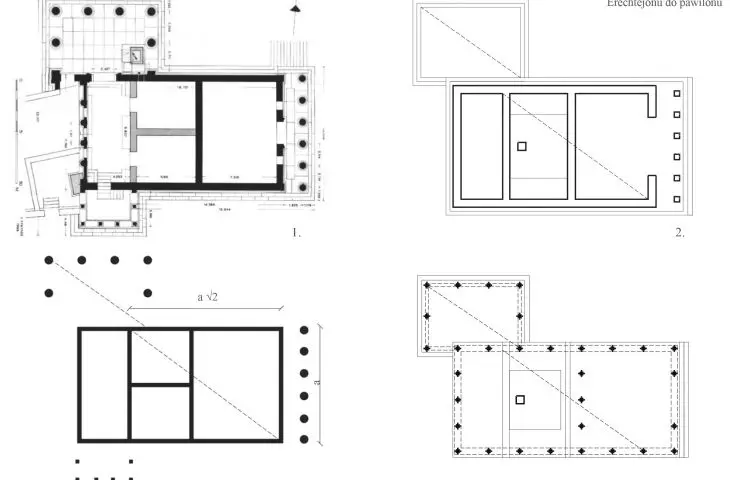 Studium proporcji, rzut