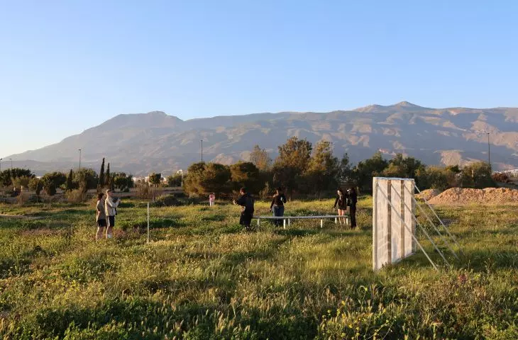 Oasis