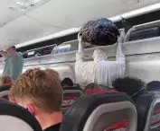 Mem na podstawie pracy Jerzego Kaliny