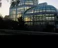 1. nagroda w kategorii Architektura użyteczności publicznej, Palmiarnia w Ogrodzie Botanicznym UJ w Krakowie