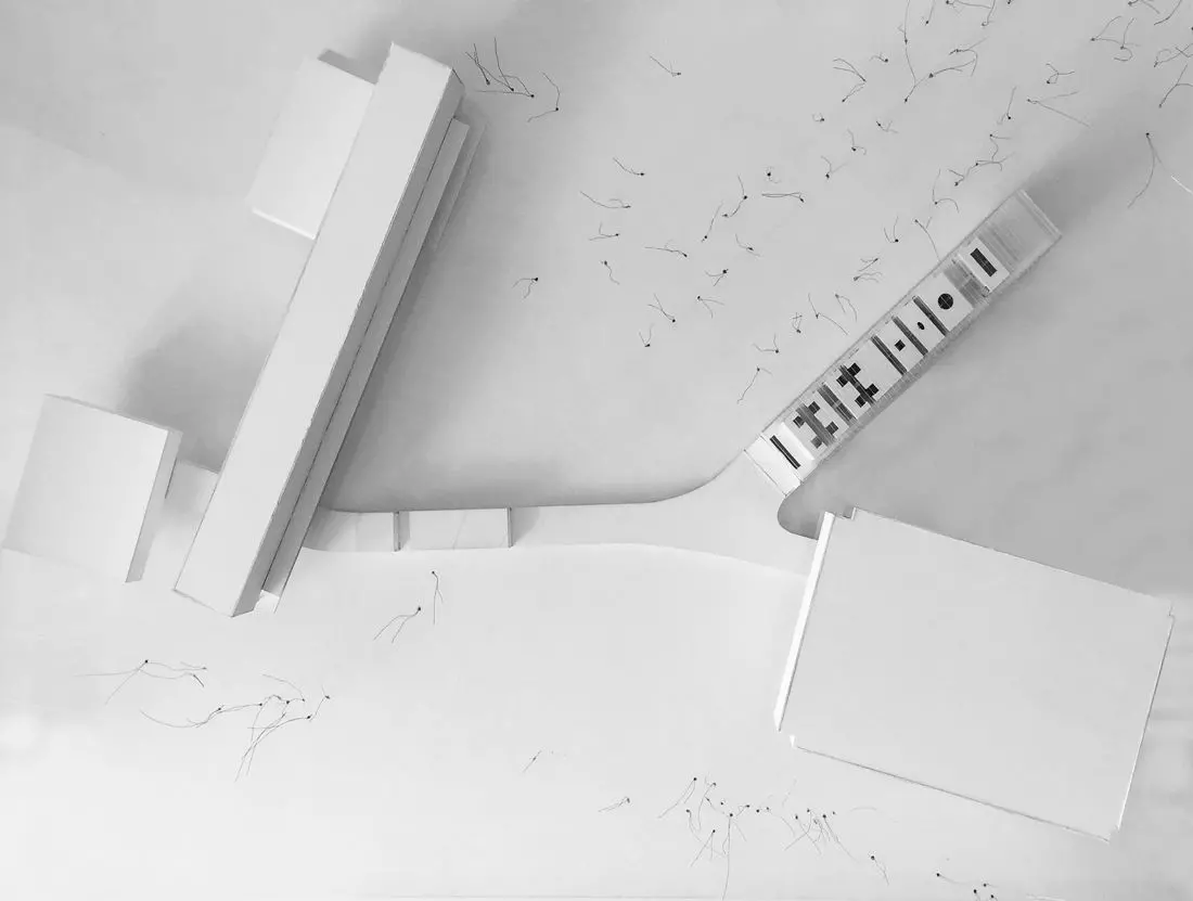 proj.: Wioletta Nowak