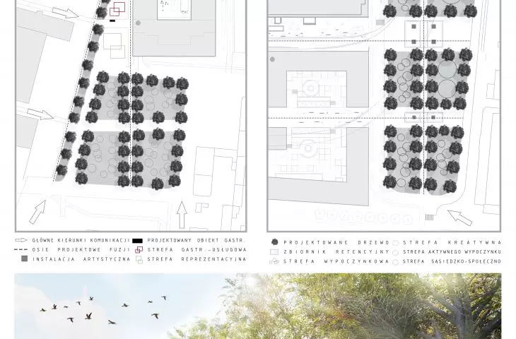 Projections of the designed squares