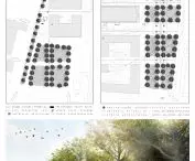 Projections of the designed squares