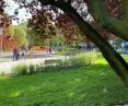 View of the rope park in the Central Park in Gdynia