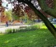 Widok na park linowy w Parku Centralnym w Gdyni