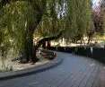 Park Centralny w Gdyni