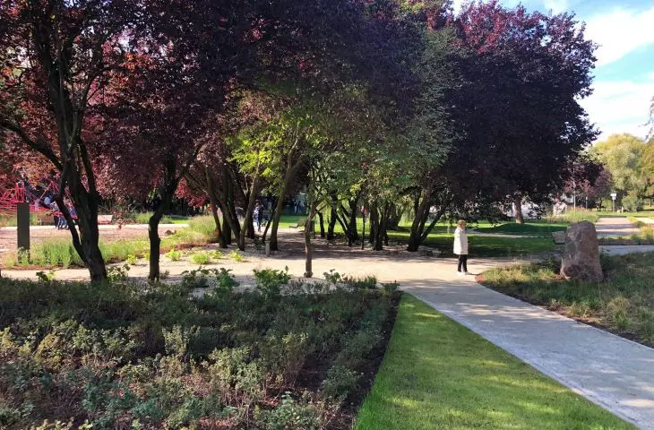 New greenery in Central Park in Gdynia
