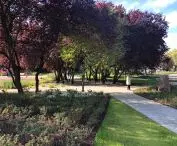 New greenery in Central Park in Gdynia