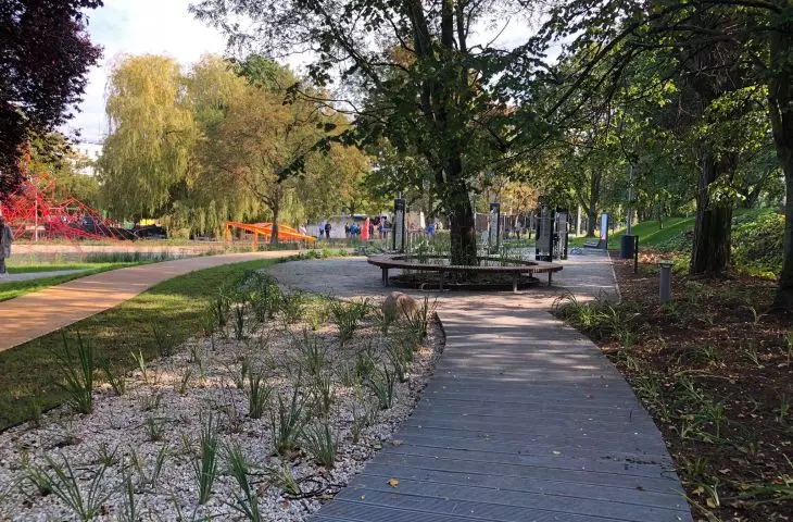 New plantings in Central Park in Gdynia