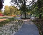 New plantings in Central Park in Gdynia