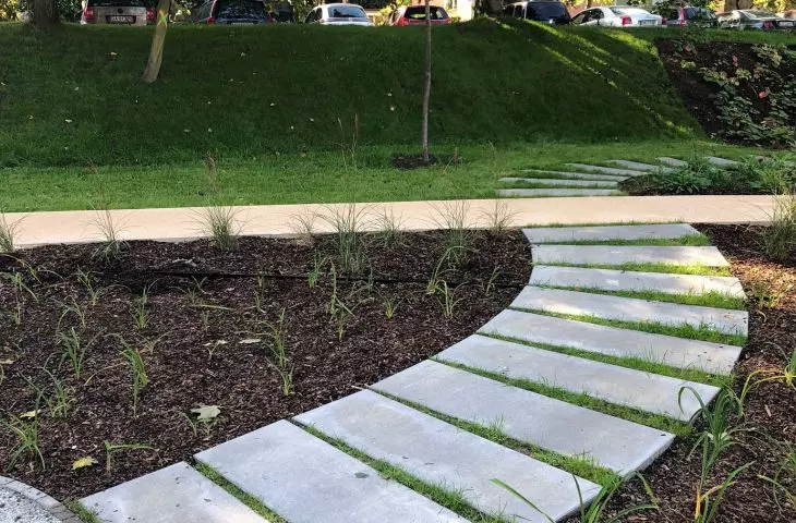 New plantings in Central Park in Gdynia