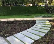 New plantings in Central Park in Gdynia