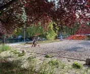 Rope park in Central Park in Gdynia
