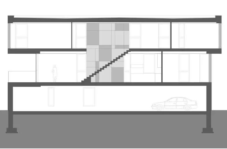 longitudinal section